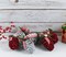 Ornativity Red and White Ornaments - Glitter Red and White Coated Pinecone Ornament with Realistic Holly Leaf and Red Cranberry Berries with Candy String Christmas Tree Decoration Set - Pack of 10